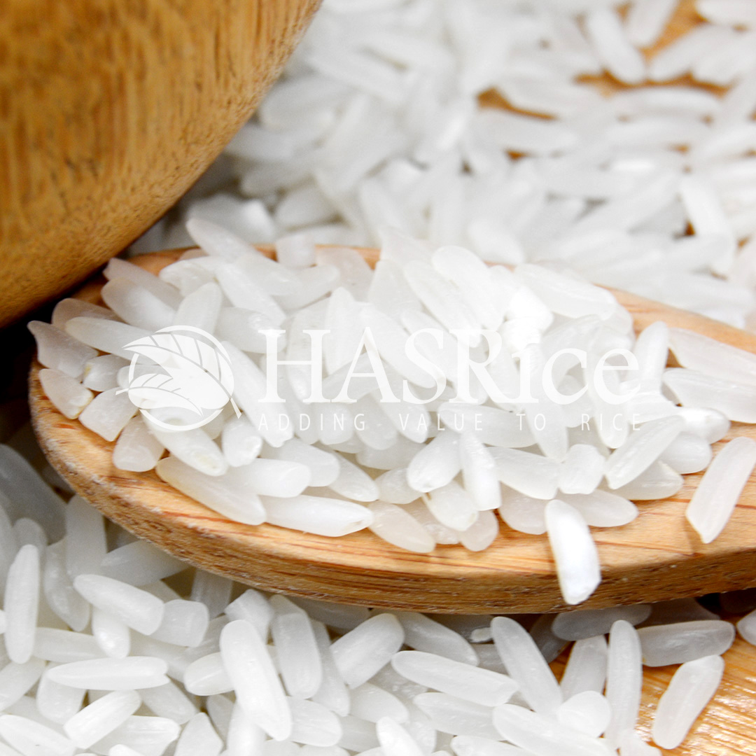 IRRI-6 15% broken white rice grain (close-up 4 of 6)