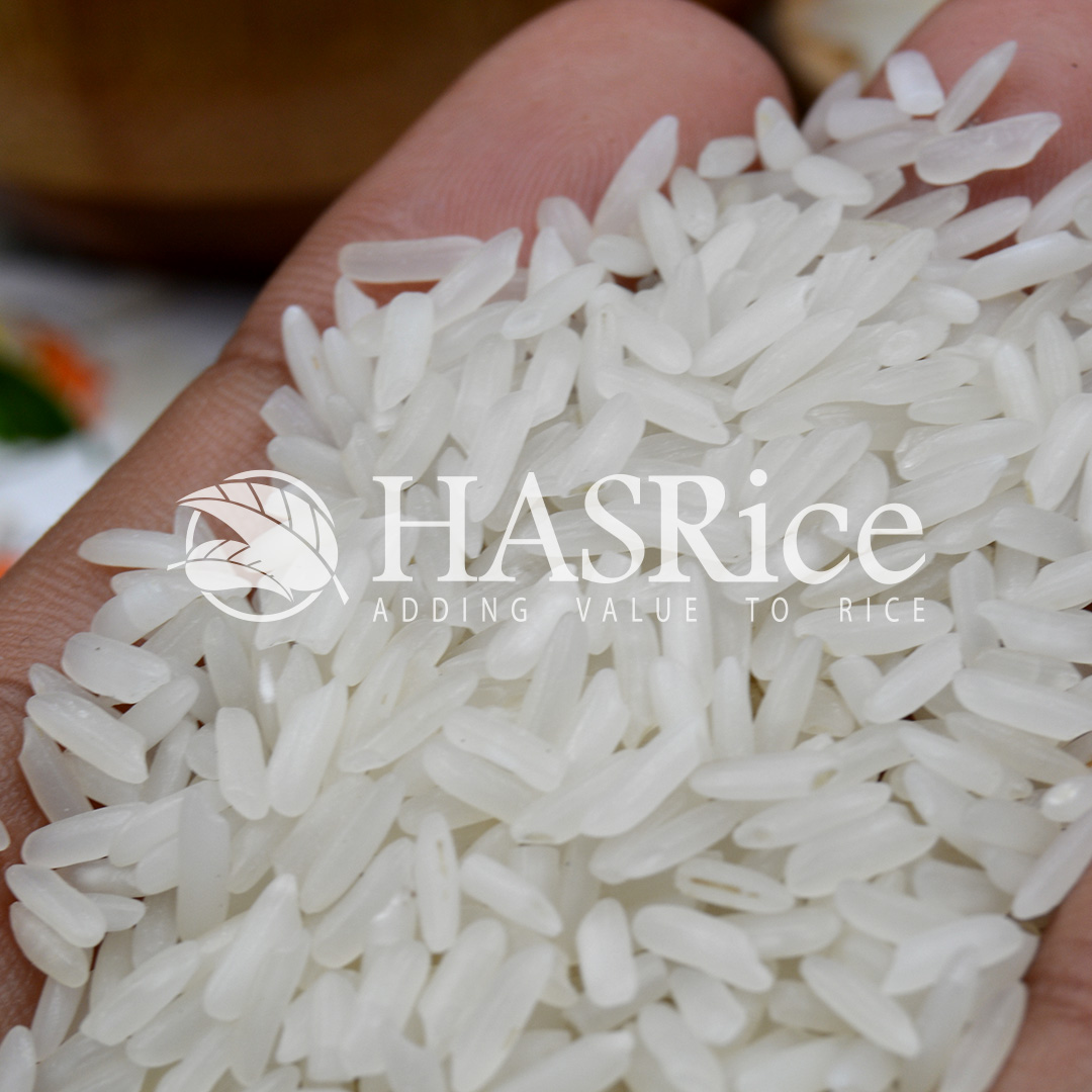 IRRI-6 5% broken white rice grain (close-up 6 of 6)