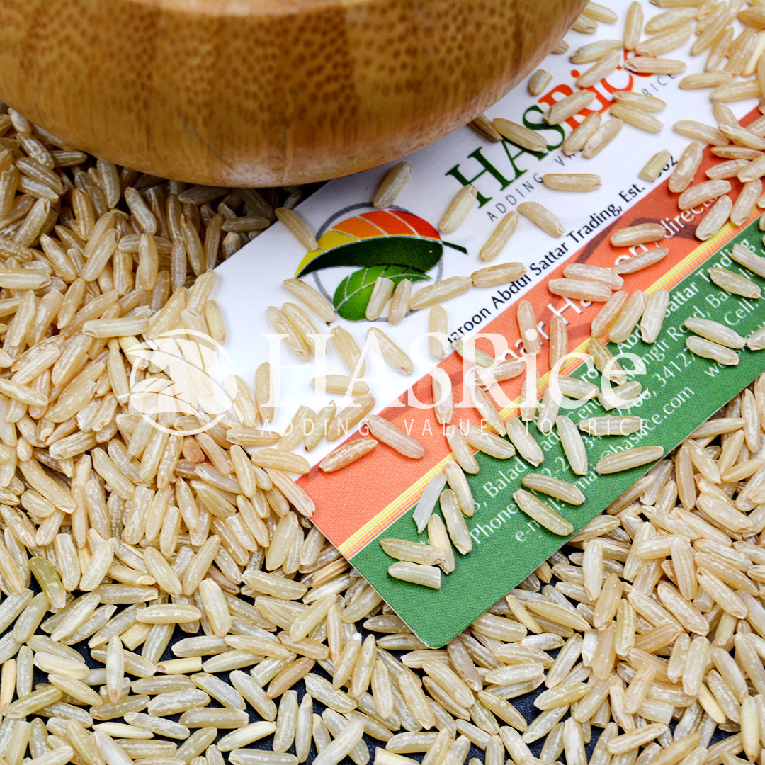 IRRI-6 brown rice grain (husked, bran intact) (close-up 1 of 9)