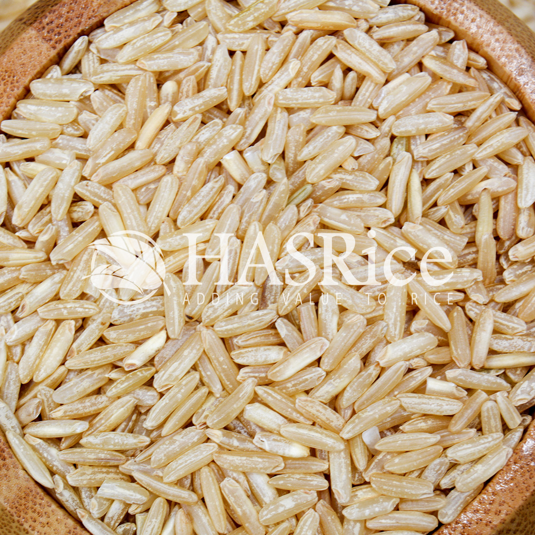 IRRI-6 brown rice grain (husked, bran intact) (close-up 2 of 9)
