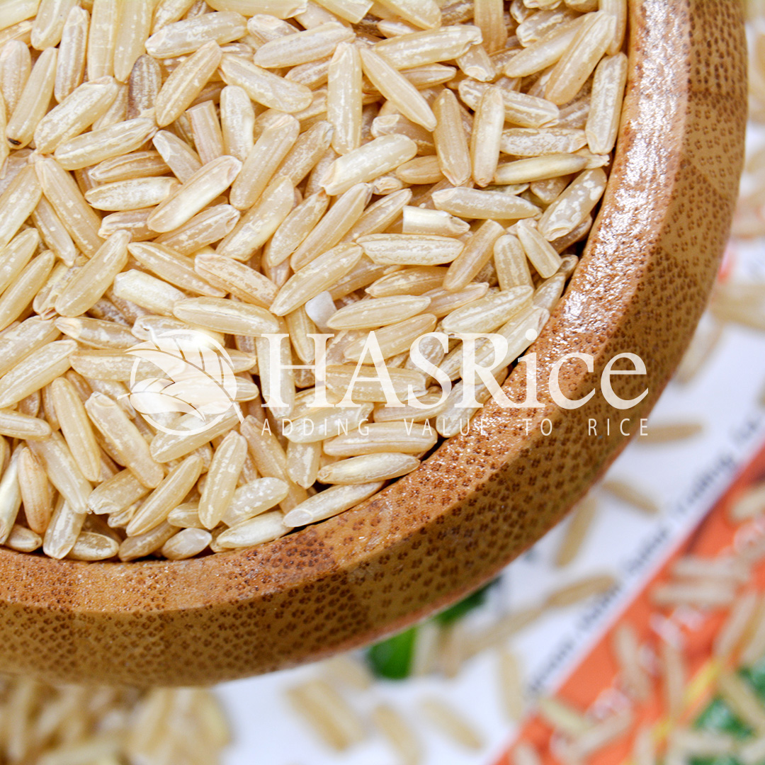 IRRI-6 brown rice grain (husked, bran intact) (close-up 3 of 9)