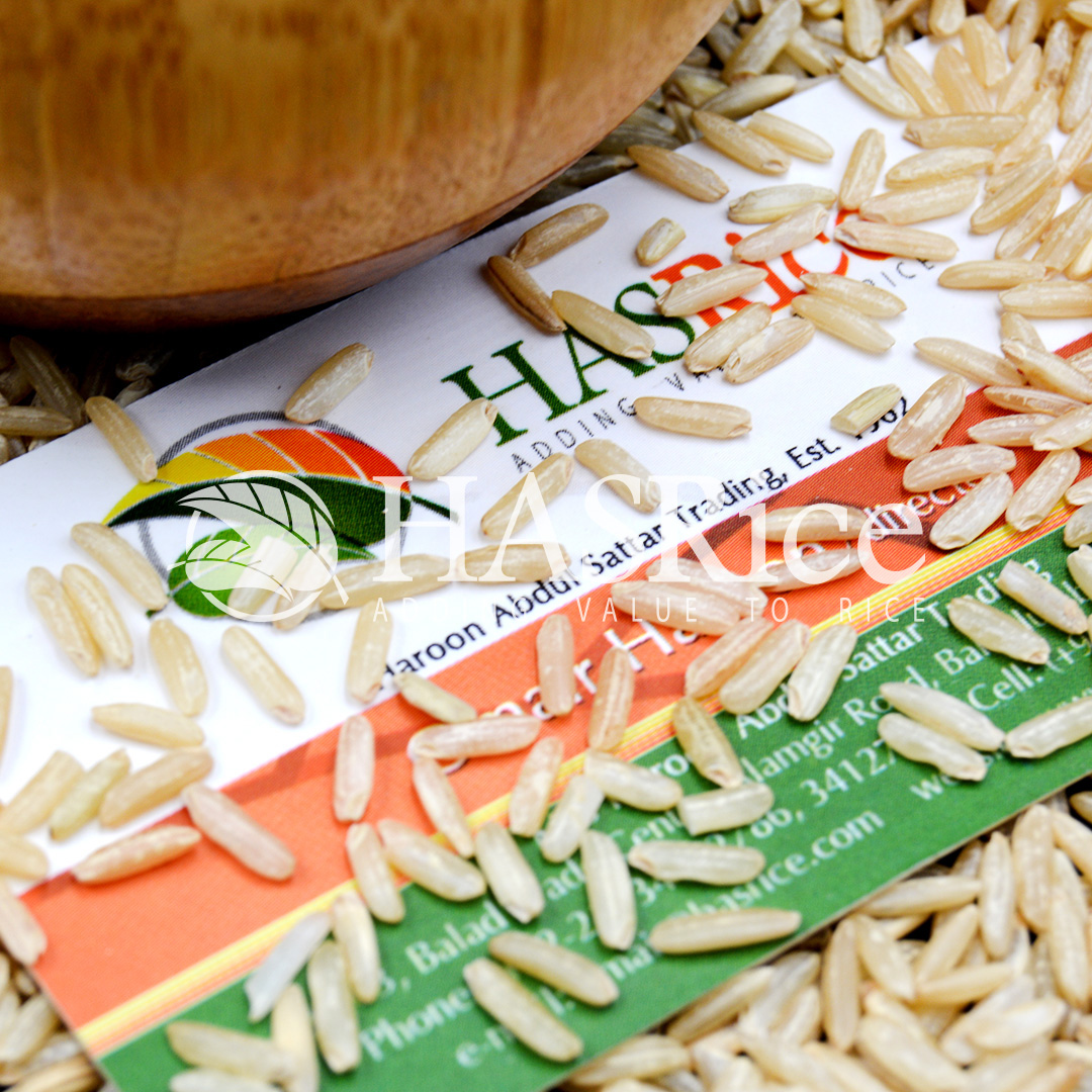 IRRI-6 brown rice grain (husked, bran intact) (close-up 4 of 9)