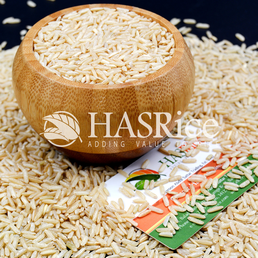 IRRI-6 brown rice grain (husked, bran intact) (close-up 6 of 9)