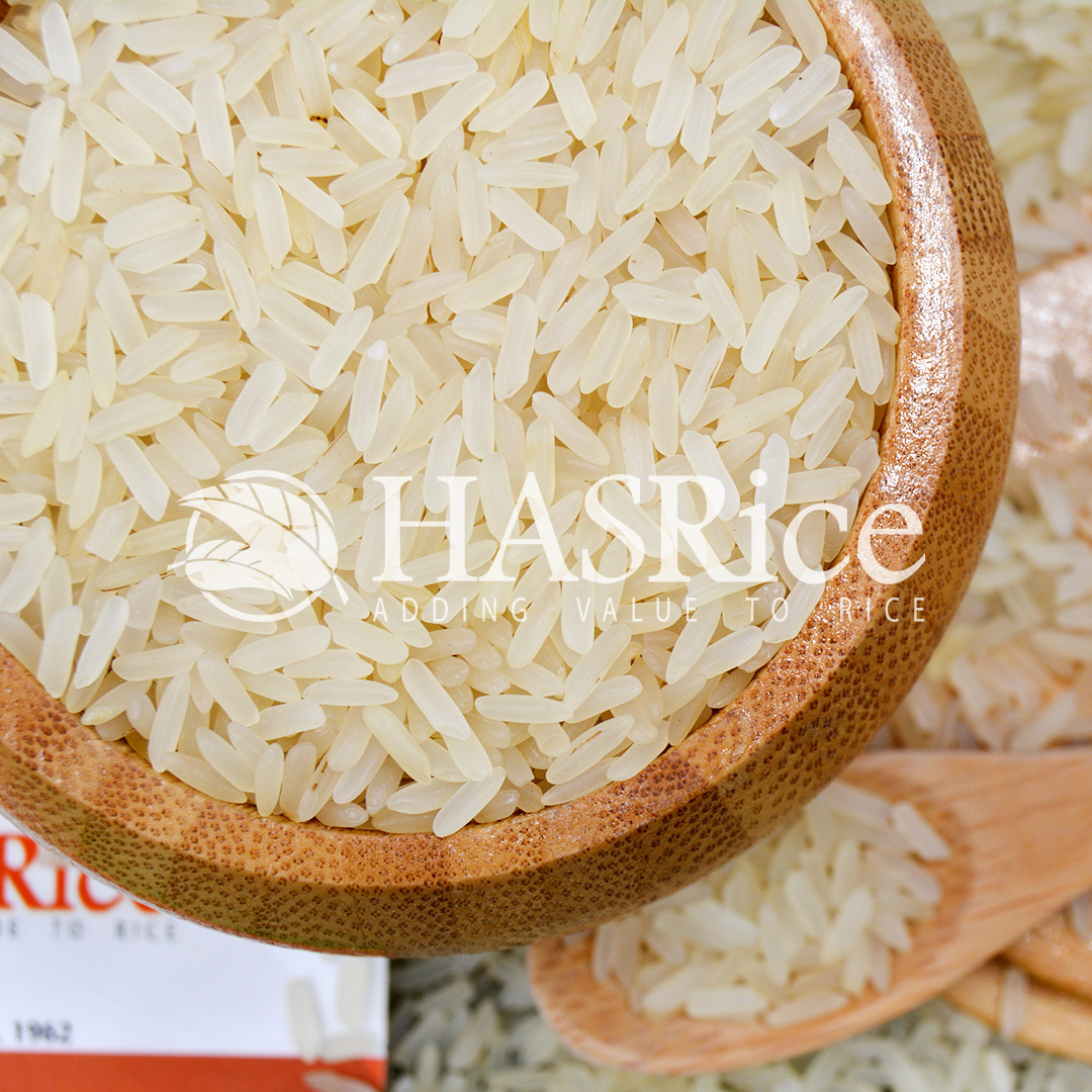 IRRI-6 parboiled (Golden Sella) rice grain (close-up 2 of 9)