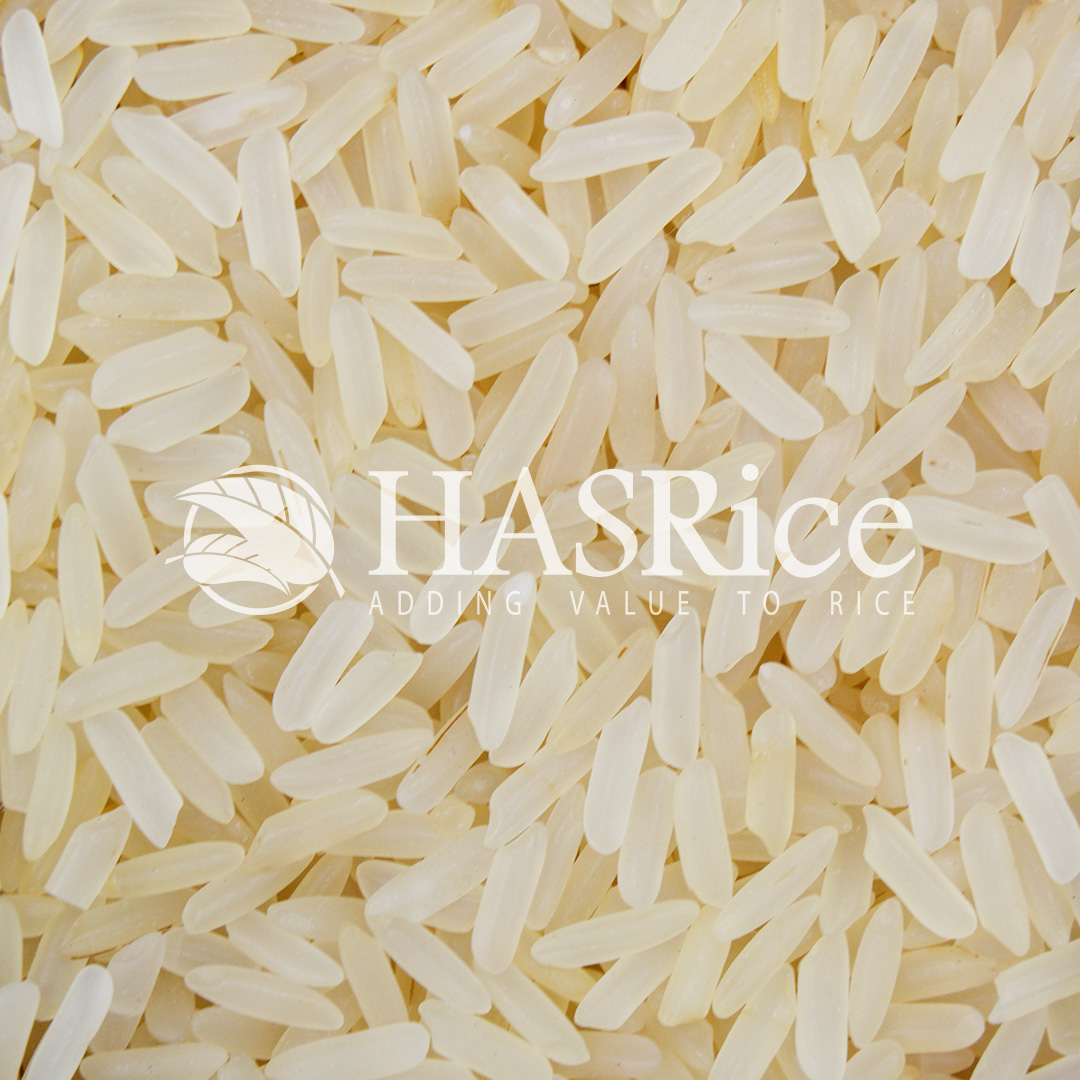 IRRI-6 parboiled (Golden Sella) rice grain (close-up 3 of 9)