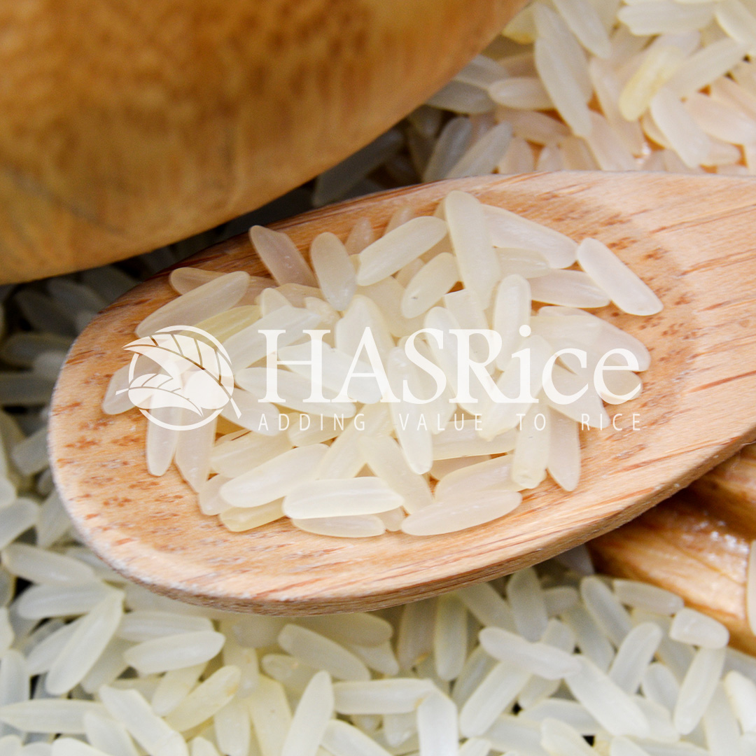 IRRI-6 parboiled (Golden Sella) rice grain (close-up 4 of 9)