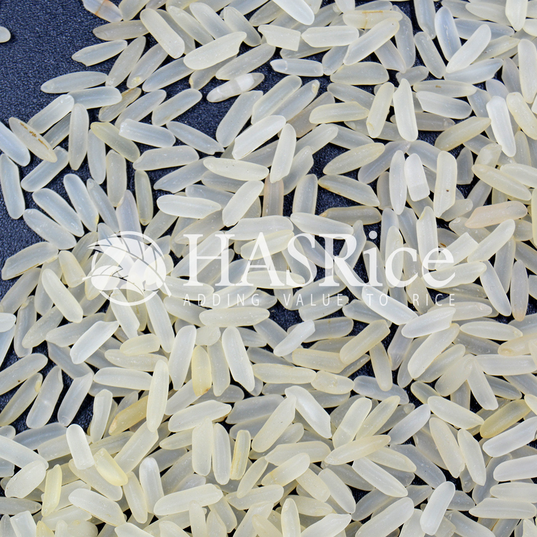 IRRI-6 parboiled (Golden Sella) rice grain (close-up 5 of 9)