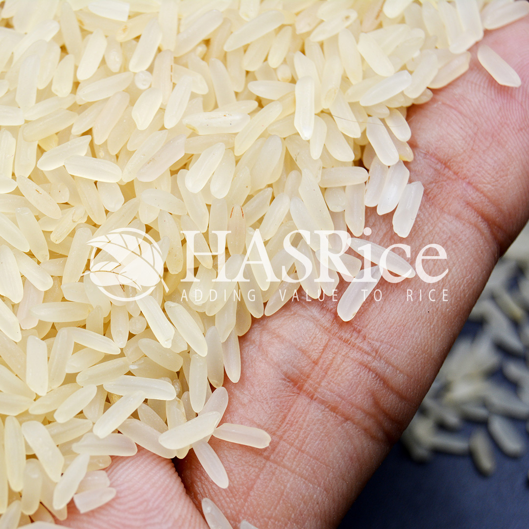 IRRI-6 parboiled (Golden Sella) rice grain (close-up 6 of 9)