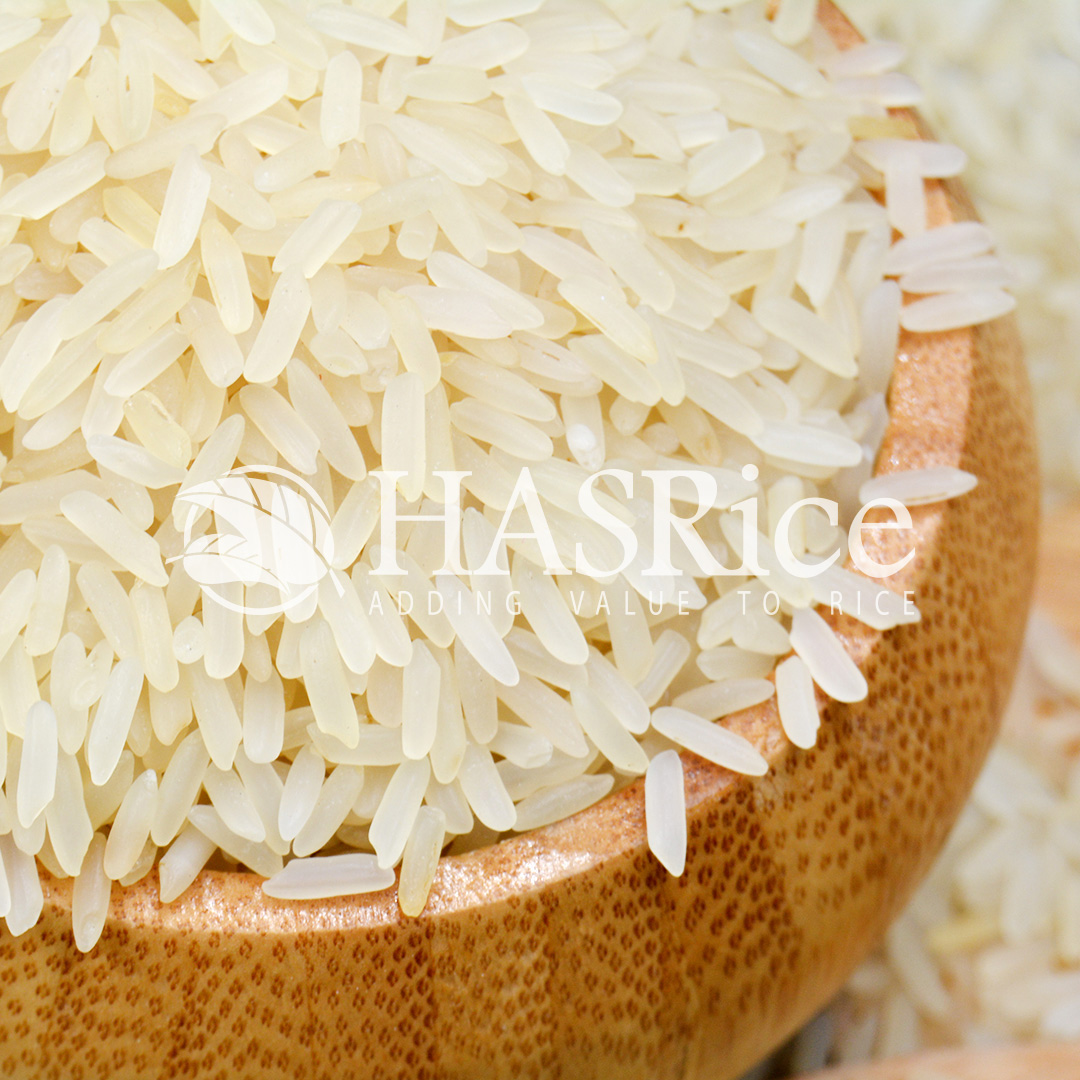IRRI-6 parboiled (Golden Sella) rice grain (close-up 7 of 9)