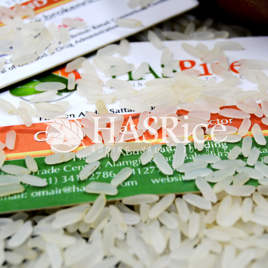 IRRI-6 parboiled (Golden Sella) rice grain (close-up 8 of 9)