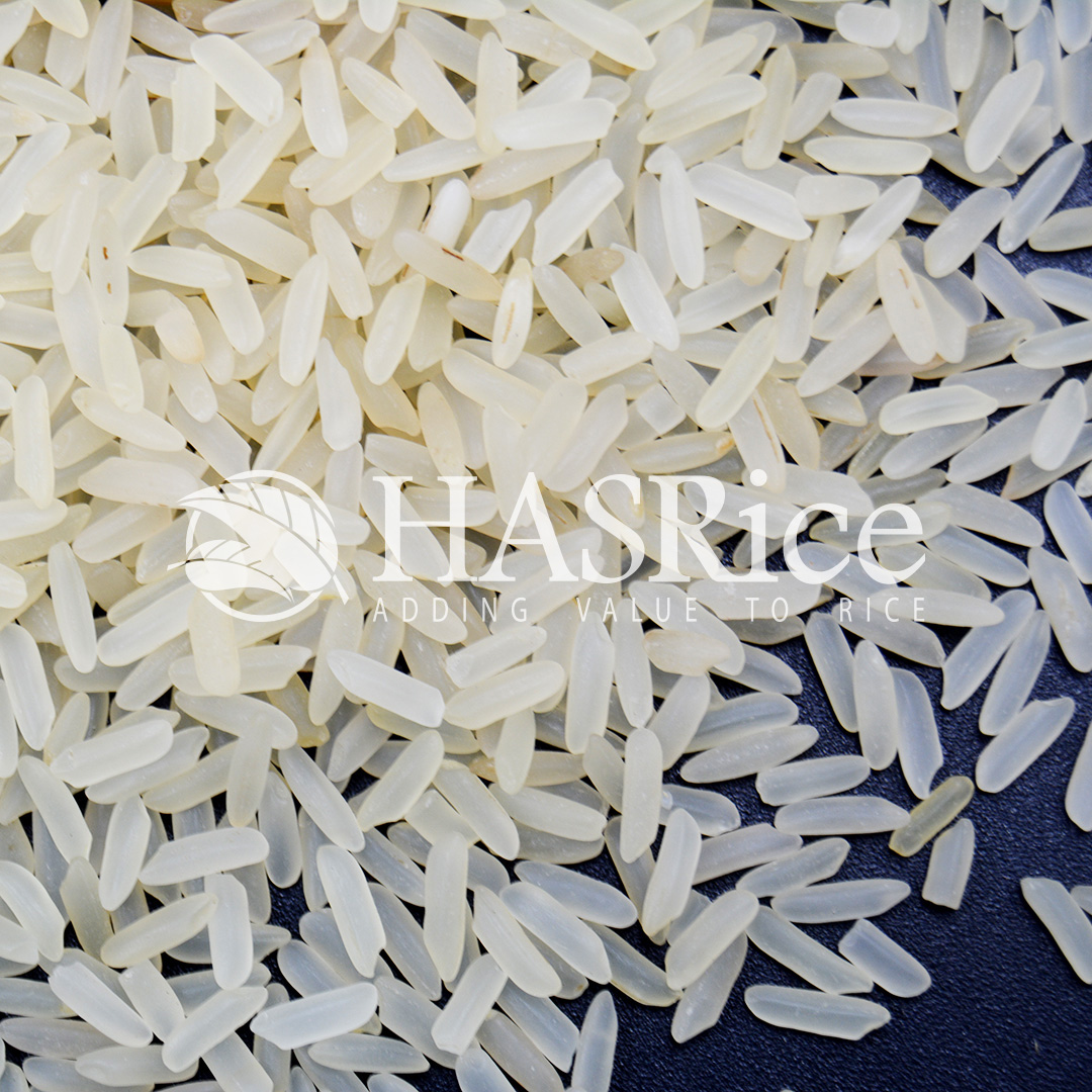 IRRI-6 parboiled (Golden Sella) rice grain (close-up 9 of 9)